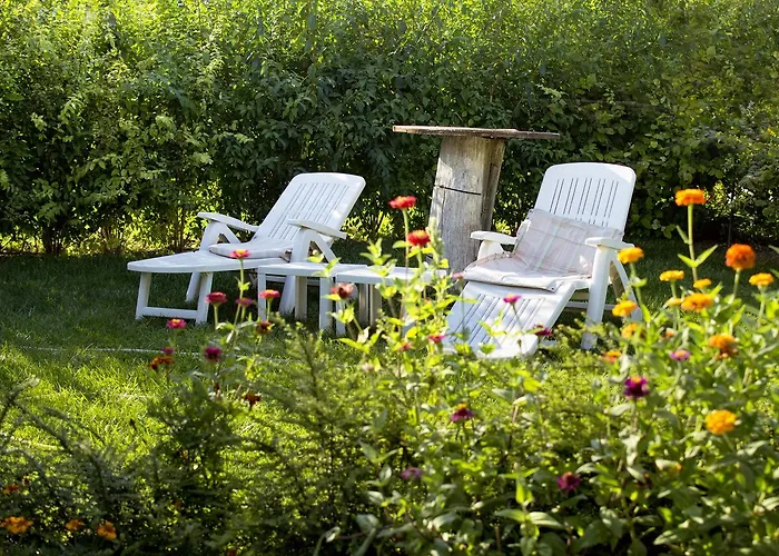 Levana Болгарево